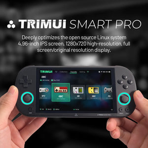 Trimui Smart Pro 128gb